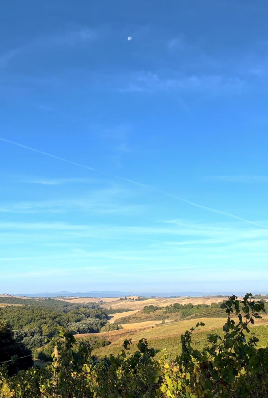 Podere Sole Trequanda Exterior foto